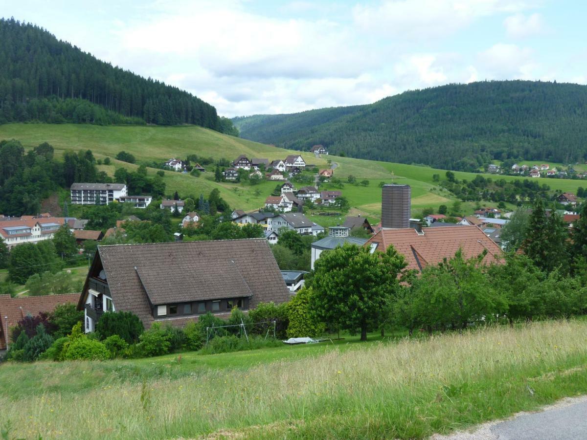 Ferienwohnung Nähe Nationalpark Baiersbronn Exterior foto