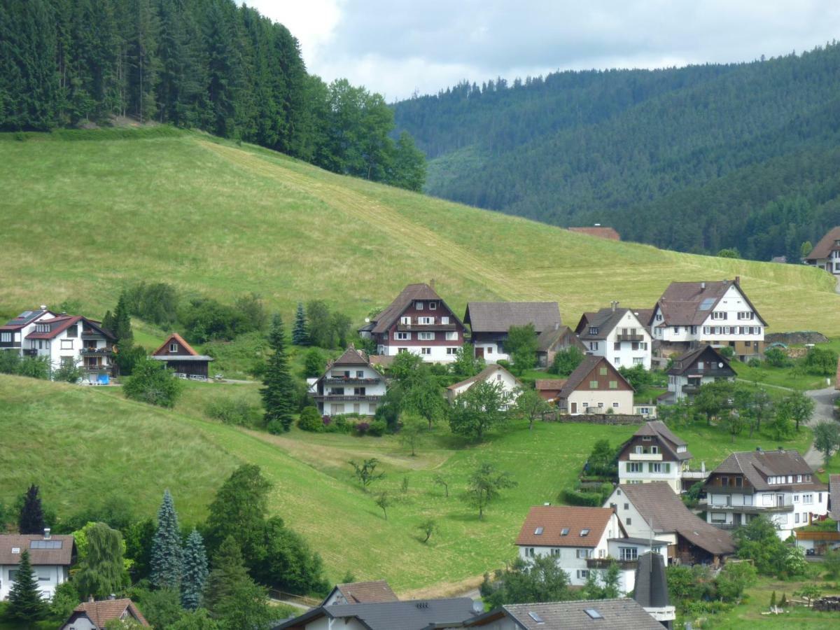 Ferienwohnung Nähe Nationalpark Baiersbronn Exterior foto